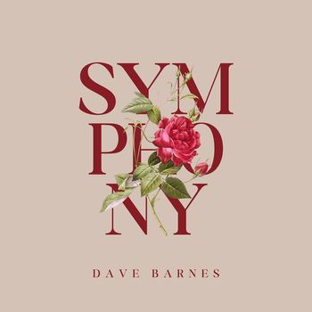 Dave Barnes - Symphony