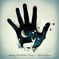 Noah Guthrie - Among The Wildest Things