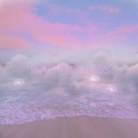 Into the Bliss - Moontides