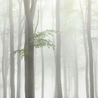 Josh Kramer - Through The Years