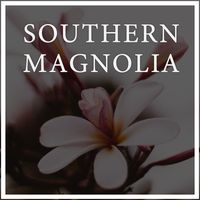 Maneli Jamal - Southern Magnolia