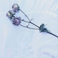 Soft Touch - Maybe Something, Maybe Nothing