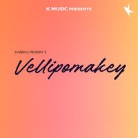 Mallikarjun - Vellipomake - Single