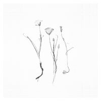 Yehezkel Raz - Three Consolations