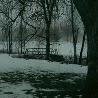 Third Attempt - Petrichor