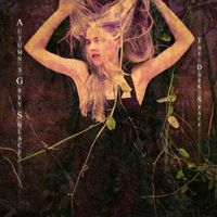 Autumn's Grey Solace - The Dark Space