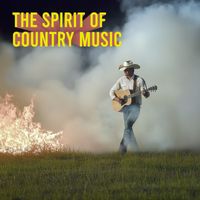 Guitar - The Spirit of Country Music