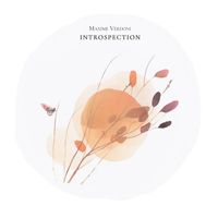 Maxime Verdoni - Introspection