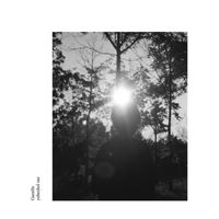 Yehezkel Raz - Gazelle