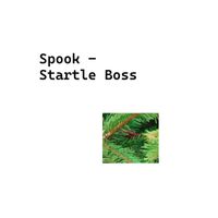 Spook - Startle Boss