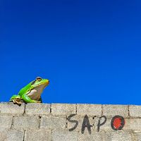 SAPO - Já Já