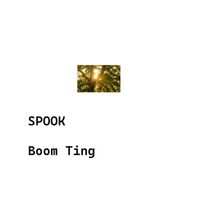 Spook - Boom Ting