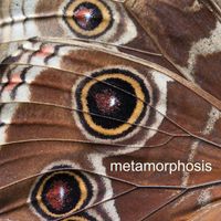 Richard Davies - Metamorphosis