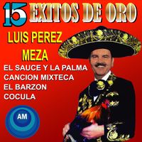 Luis Pérez Meza - 15 Éxitos de Oro