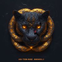 An-ten-nae - Animale