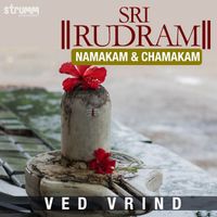 Ved Vrind - Sri Rudram (Namakam & Chamakam)