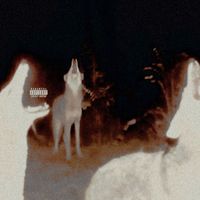 LMF - uze the force (Explicit)