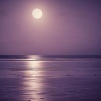 marco paulo - Ja faz 5 dias