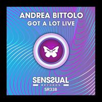 Andrea Bittolo - Got a Lot Live