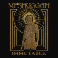 Meshuggah - Ligature Marks (2025 Remastered)