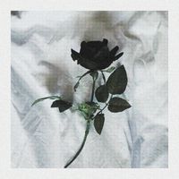 Versa - Ceaeme
