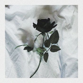 Versa - Ceaeme
