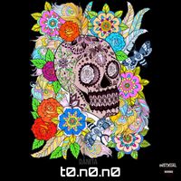 t0.n0.n0 - Ranita