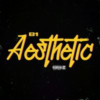 B1 - Aesthetic (Explicit)