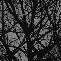 Glum - snow dust