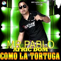 Mr. Pablo Afric Dom - Como La Tortuga