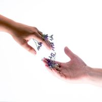 BLØØM - Familiar Strangers