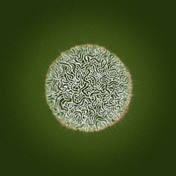 Dolph - Slomo Sapiens