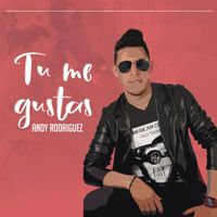 Andy Rodriguez - Tú Me Gustas