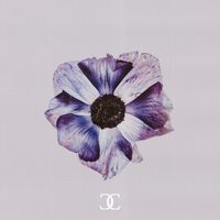 Evan Ford - CC 2