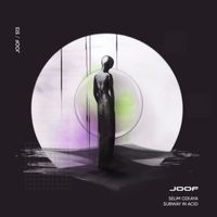 Selim Ozkaya - Subway in Acid