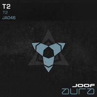 T2 - T2
