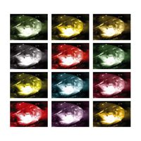 Trembling Blue Stars - Exploring The Shadows