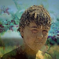 TIPO - Novas Ocupações