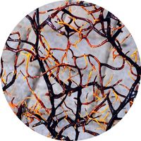 Norberto Lusso - False Pulsating