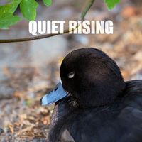 Ocb Relax - Quiet Rising