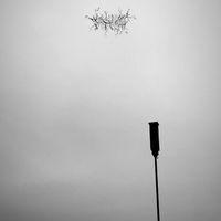 branch - present. tense.