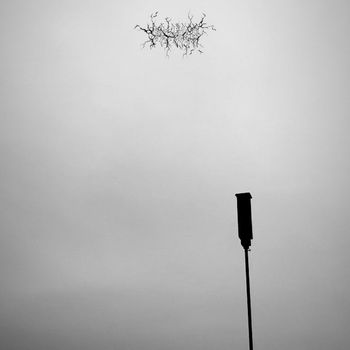 branch - present. tense.