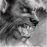 ADS - Nights Wolf