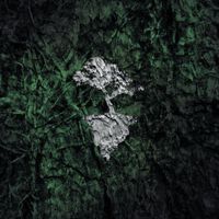 Quartz - Hacksaw