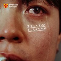 Blandade Artister - Brustna hjärtan