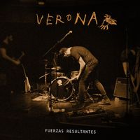 Verona - Fuerzas Resultantes