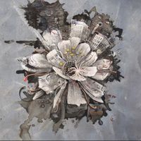 Albatross - Ibtidaa