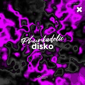 Various Artists - Phunkadelic Disko, Vol. 13