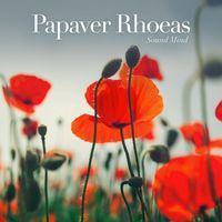 Sound Mind - Papaver Rhoeas (Ambient Mix)