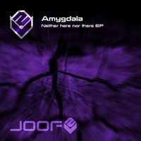 Amygdala - Neither Here nor There EP